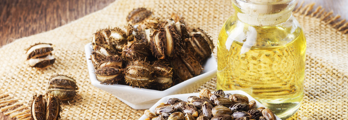 Huile de ricin bio : bienfaits, utilisations et précautions