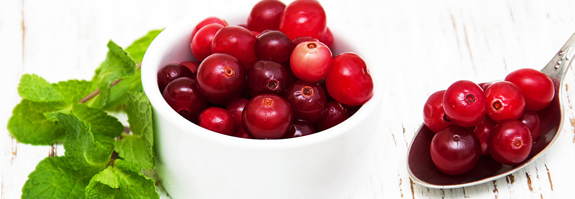 Cranberry (canneberge) : bienfaits, utilisations et nos produits bio