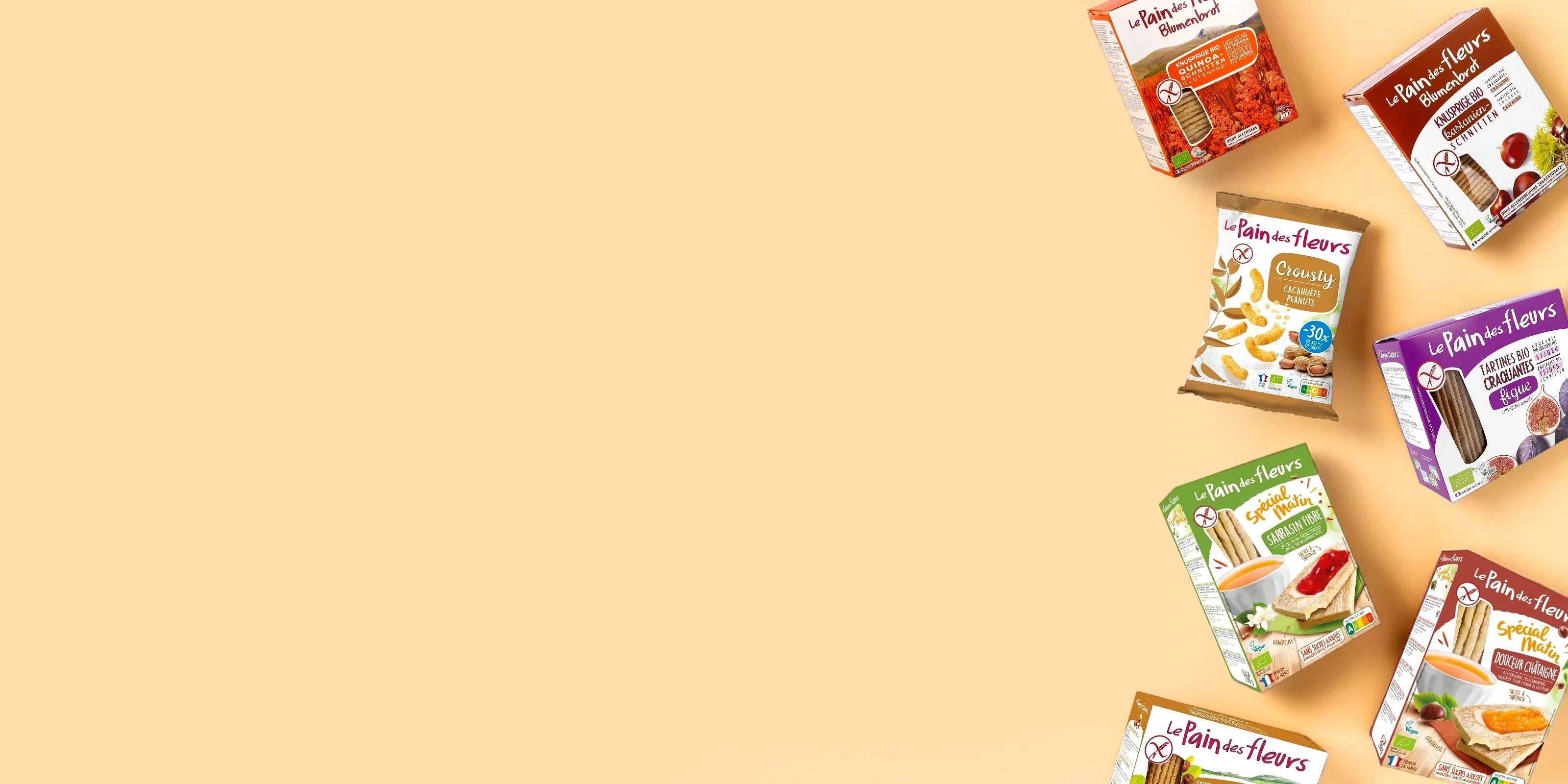 Le Pain des Fleurs : tartines craquantes bio sans gluten