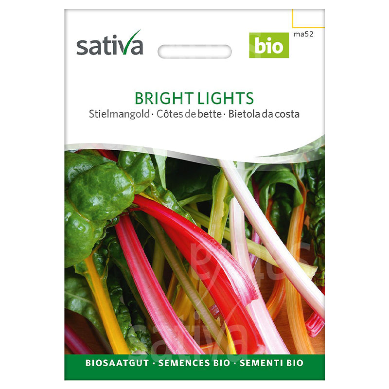 Mélange bright lights côtes de bette BIO