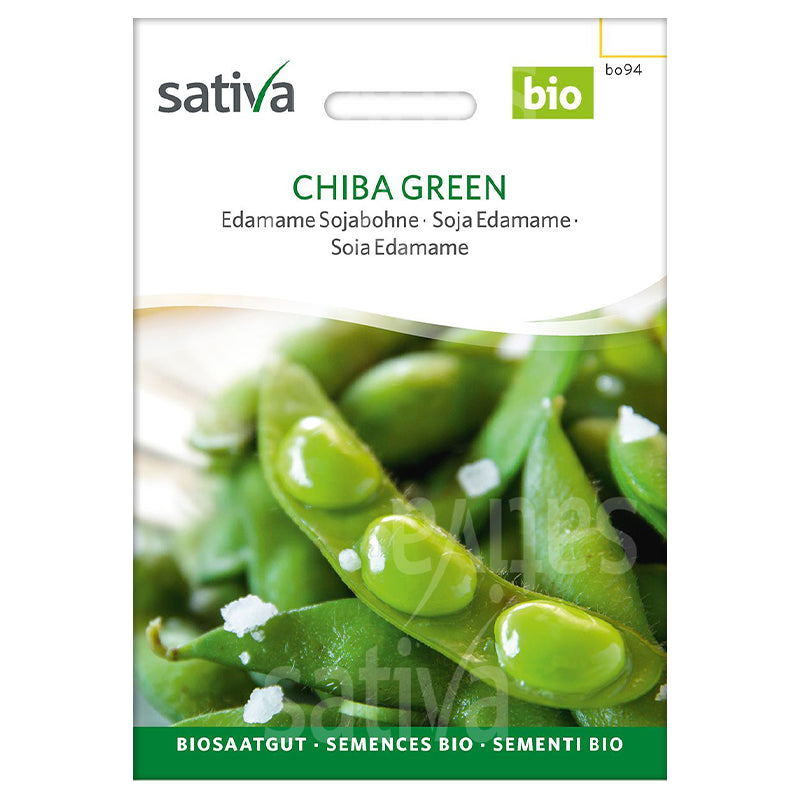 Semences chiba green soja edamame BIO