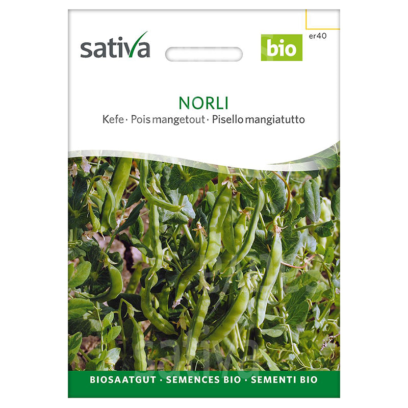 Semences norli pois mangetout BIO