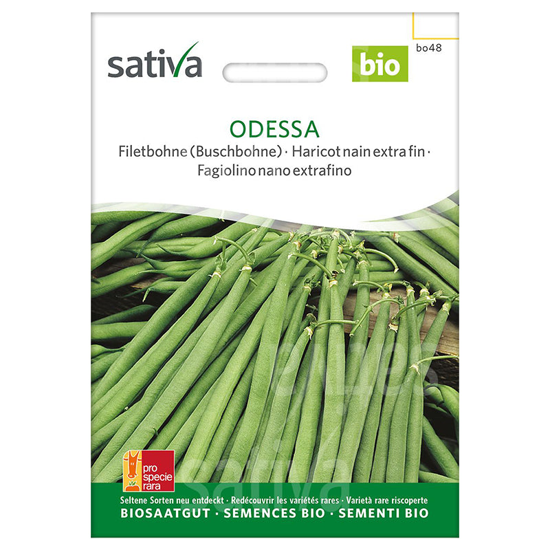 Odessa-Samen, extrafeine Zwergbohne, Bio-Sativa-Sorte, 50 g