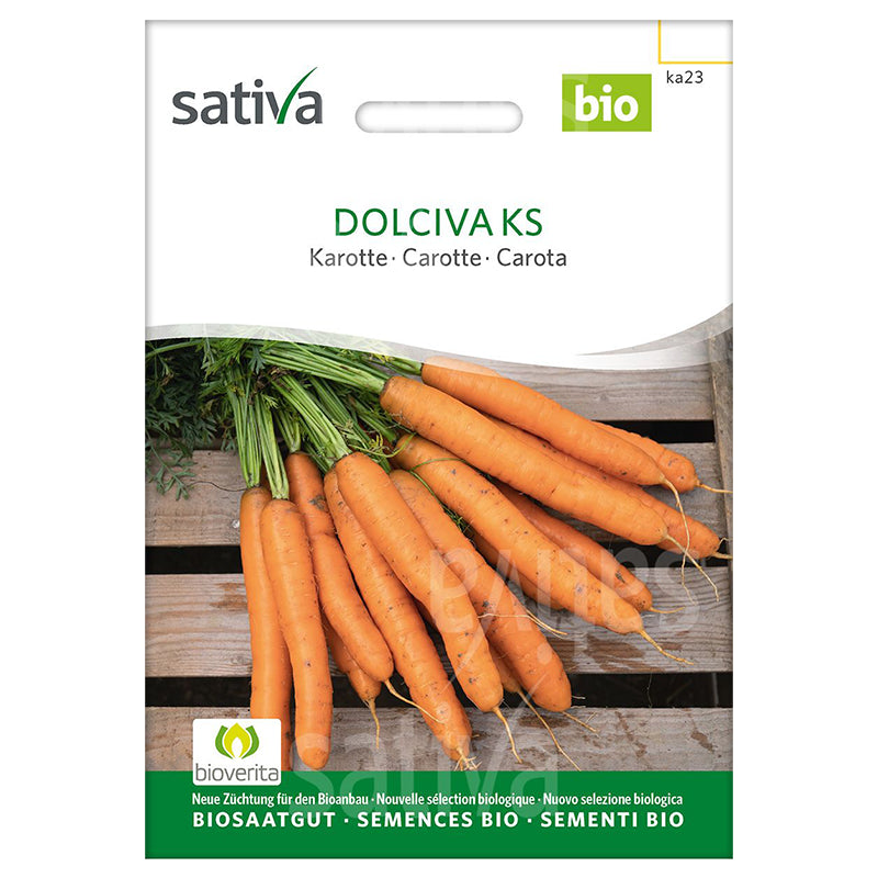 Semences dolciva KS carotte BIO