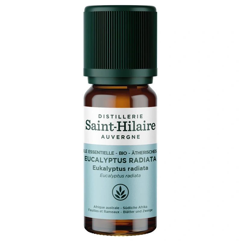 Huile essentielle Eucalyptus radiata BIO - 10ml
