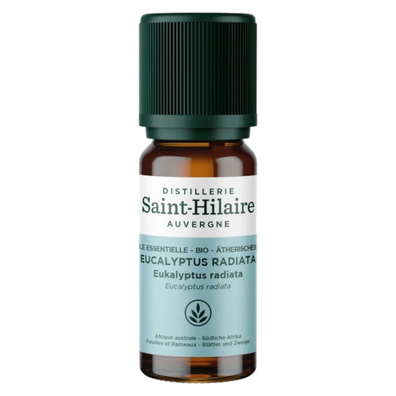 Huile essentielle Eucalyptus radiata BIO - 10ml