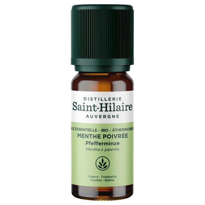 Ätherisches Öl Pfefferminze BIO – 10ml