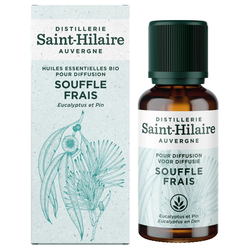 Synergie d'huiles essentielles souffle frais BIO