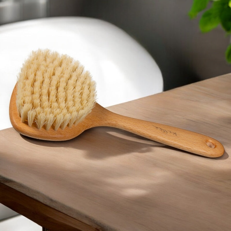 Brosse sauna massage a sec tampico anae 2