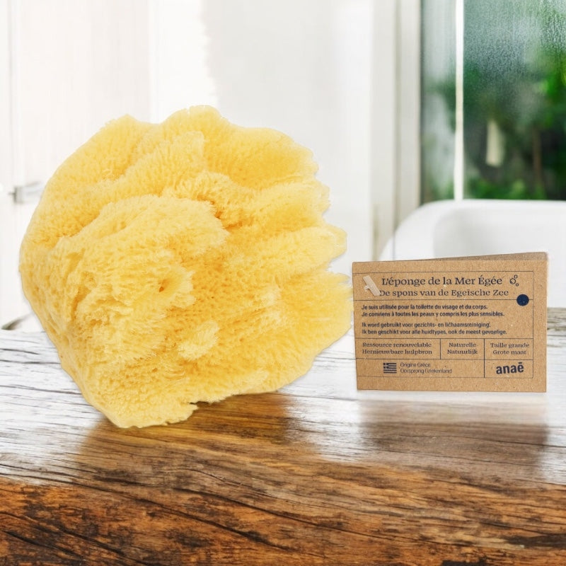 Éponge naturelle grande - Anaé