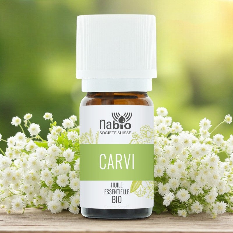 Ätherisches Bio-Kümmelöl – 10 ml – Nabio