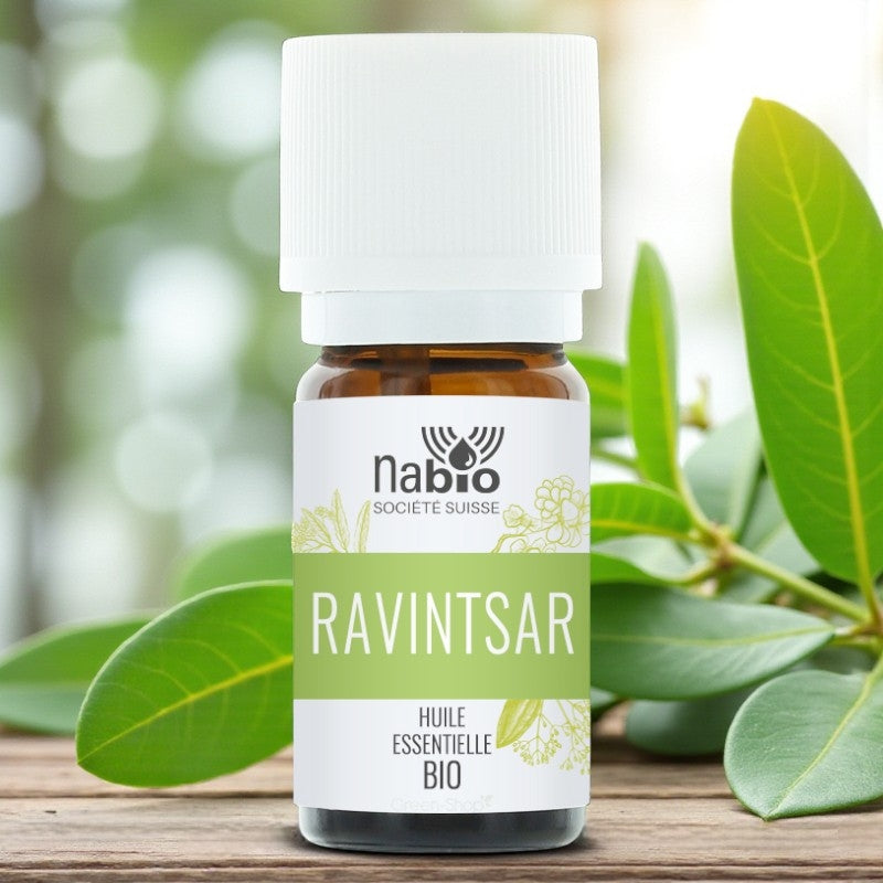 Ätherisches Bio-Ravintsara-Öl – 10 ml – Nabio
