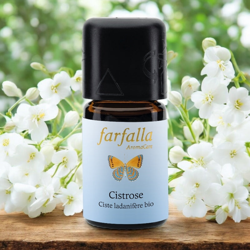 Ätherisches Bio-Zistrosenöl – 5 ml – Farfalla