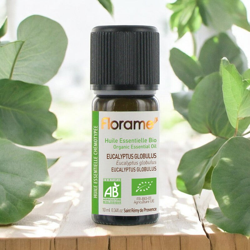 Huile essentielle d'Eucalyptus globulus BIO - 10ml - Florame