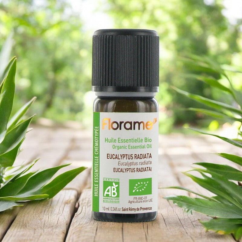 Huile essentielle d'Eucalyptus radiata BIO - 10ml - Florame