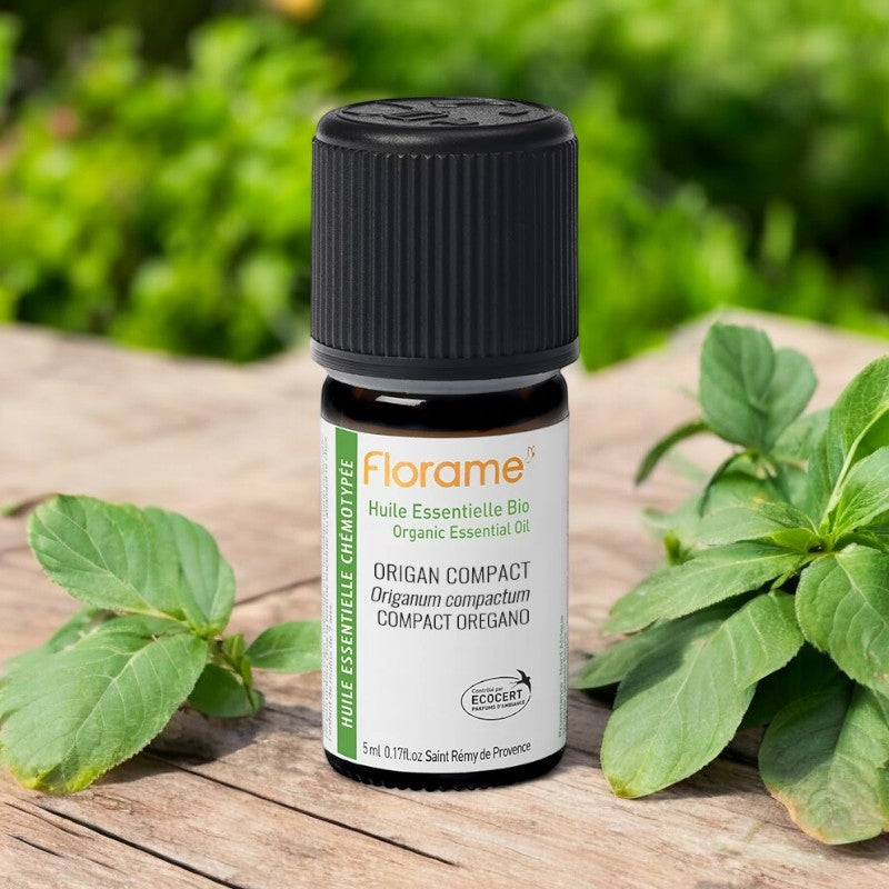 Huile essentielle d'Origan compact BIO - 5ml - Florame
