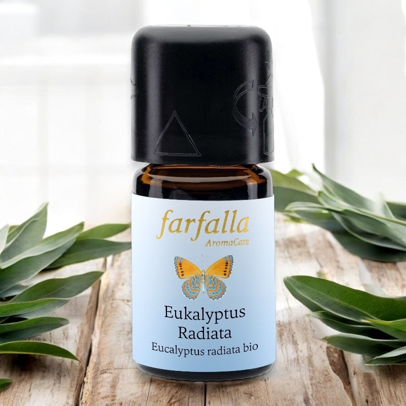 Huile essentielle eucalyptus radiata bio 5 ml farfalla 27610 2