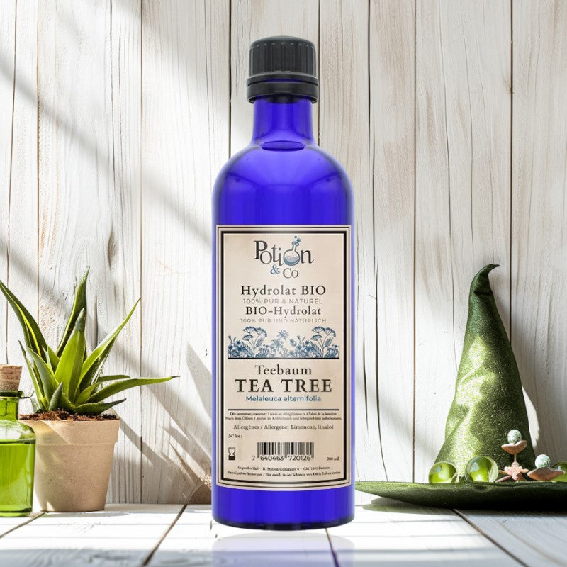 Hydrolat de tea tree BIO - 200ml - Potion & Co