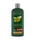 Farbreflex BIO-Shampoo Braun-Schwarz Haselnuss - 250ml - Logona