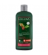 Shampooing age energy BIO caféine - 250ml - Logona