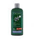 Shampooing anti-pelliculaire BIO genévrier - 250ml - Logona