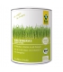 BIO-Weizengras Pulver - 75g - Raab Vitalfood