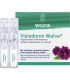 Augentropfen in Monodosen Visiodoron Malva - 20x0,4ml - Weleda