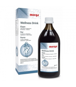 Wellness Drink Fer - 380ml - Morga