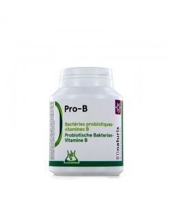 Pro-B 4,8 milliards de bactéries probiotiques + vitamine B 120 gélules - BIOnaturis Pro-B 4,8 milliards de bactéries probiotiques + vitamine B 120 gélules - BIOnaturis