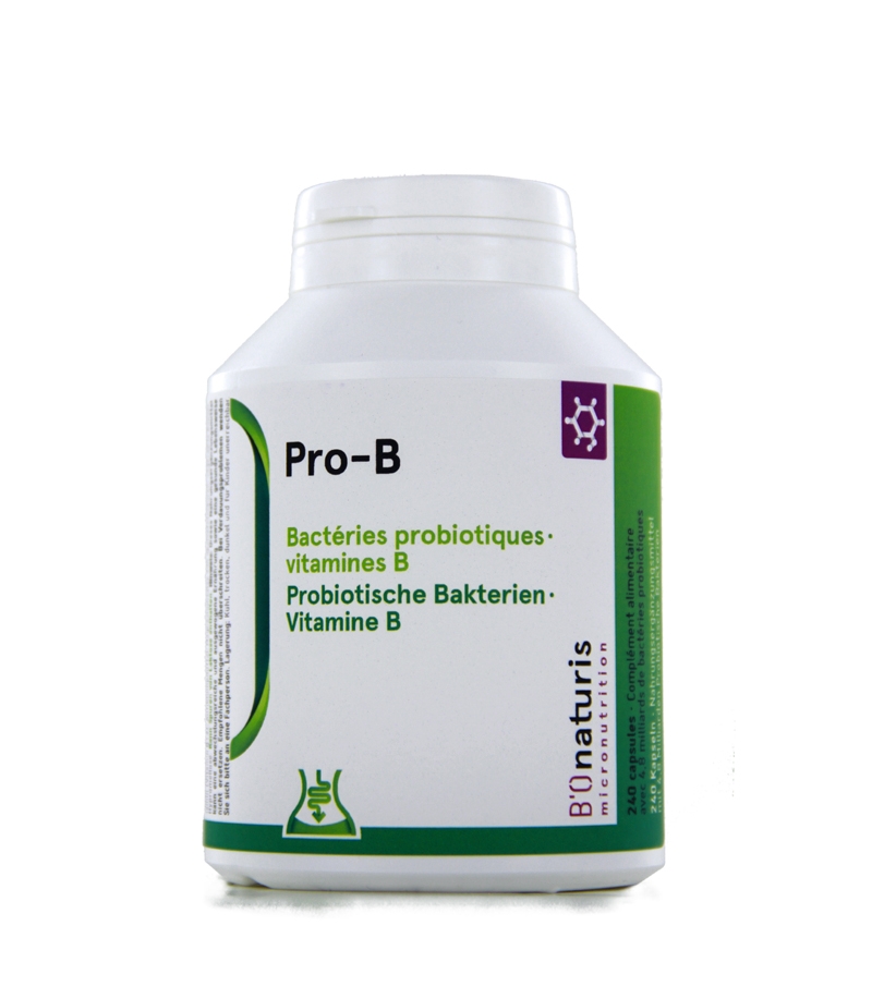 Pro-B 4,8 milliards de bactéries probiotiques + vitamine B 240 gélules - BIOnaturis Pro-B 4,8 milliards de bactéries probiotiques + vitamine B 240 gélules - BIOnaturis
