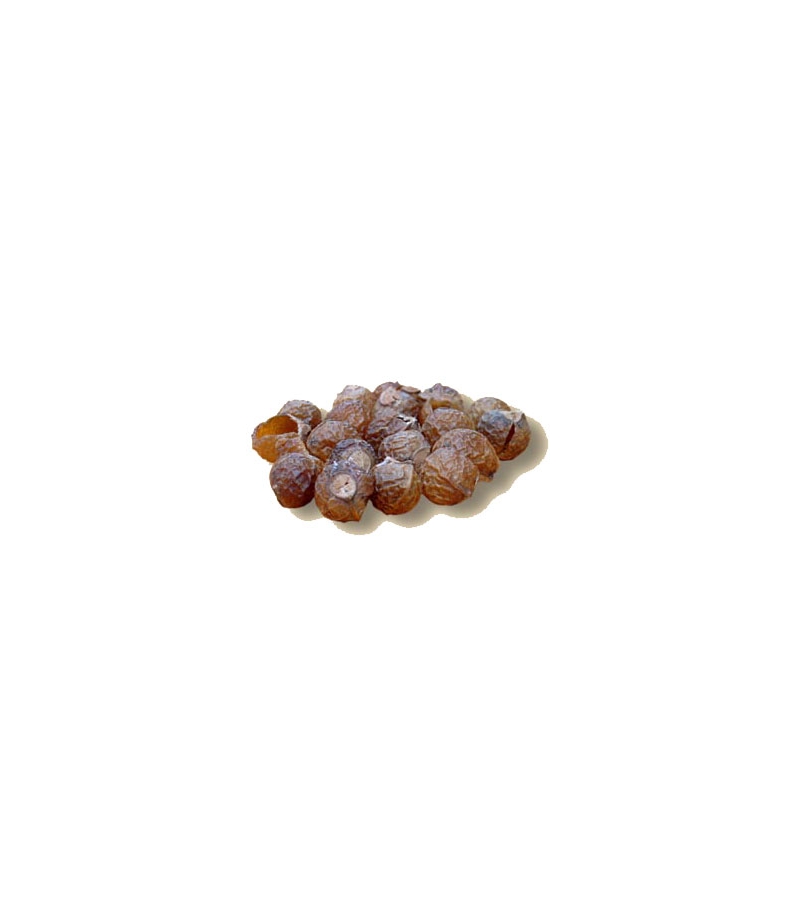 Soapnut, Soapnuts 1kg Soapnut, Soapnuts 1kg
