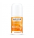 Déodorant à bille 24h BIO argousier - 50ml - Weleda