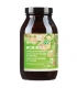 Moringa BIO - 390 capsules à 466mg - NaturKraftWerke