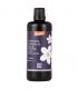 Huile de cumin noir BIO - 100ml - NaturKraftWerke