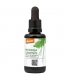BIO-Moringasamenöl - 30ml - NaturKraftWerke