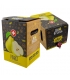 Gefilterter BIO-Birnensaft in der Bag-in-Box - 5l - BioFruits