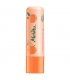 Weichmachender BIO-Lippenbalsam Aprikose - 4,5g - Melvita