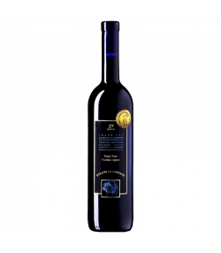 Pinot Noir Vieilles Vignes BIO-Rotwein - 75cl - Domaine La Capitaine