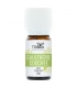 Ätherisches Öl Wintergrün bio - 10ml - Nabio