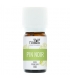 Huile essentielle BIO Pin noir - 5ml - Nabio