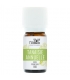 Huile essentielle BIO Tanaisie annuelle - 2ml - Nabio