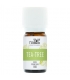Ätherisches Öl Teebaum bio - 10ml - Nabio
