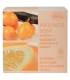 Savon naturel Wellness argousier & orange - 200g - Speick