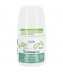 24H BIO-Deo-Roller Aloe Vera - 50ml - Natessance