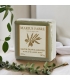 Savon d\'Alep olive & laurier - 150g - Marius Fabre