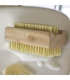 Brosse à ongles - La droguerie écologique