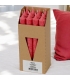 Bougies chandeliers bordeaux en stéarine BIO 22 x 210 mm - 12 pcs - Eubiona