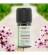 Ätherisches Öl Geranium Afrique BIO - 5ml - Florame