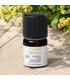 Ätherisches Öl Kamille blau BIO - 2ml - Florame