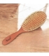 Brosse plate poirier - Anaé
